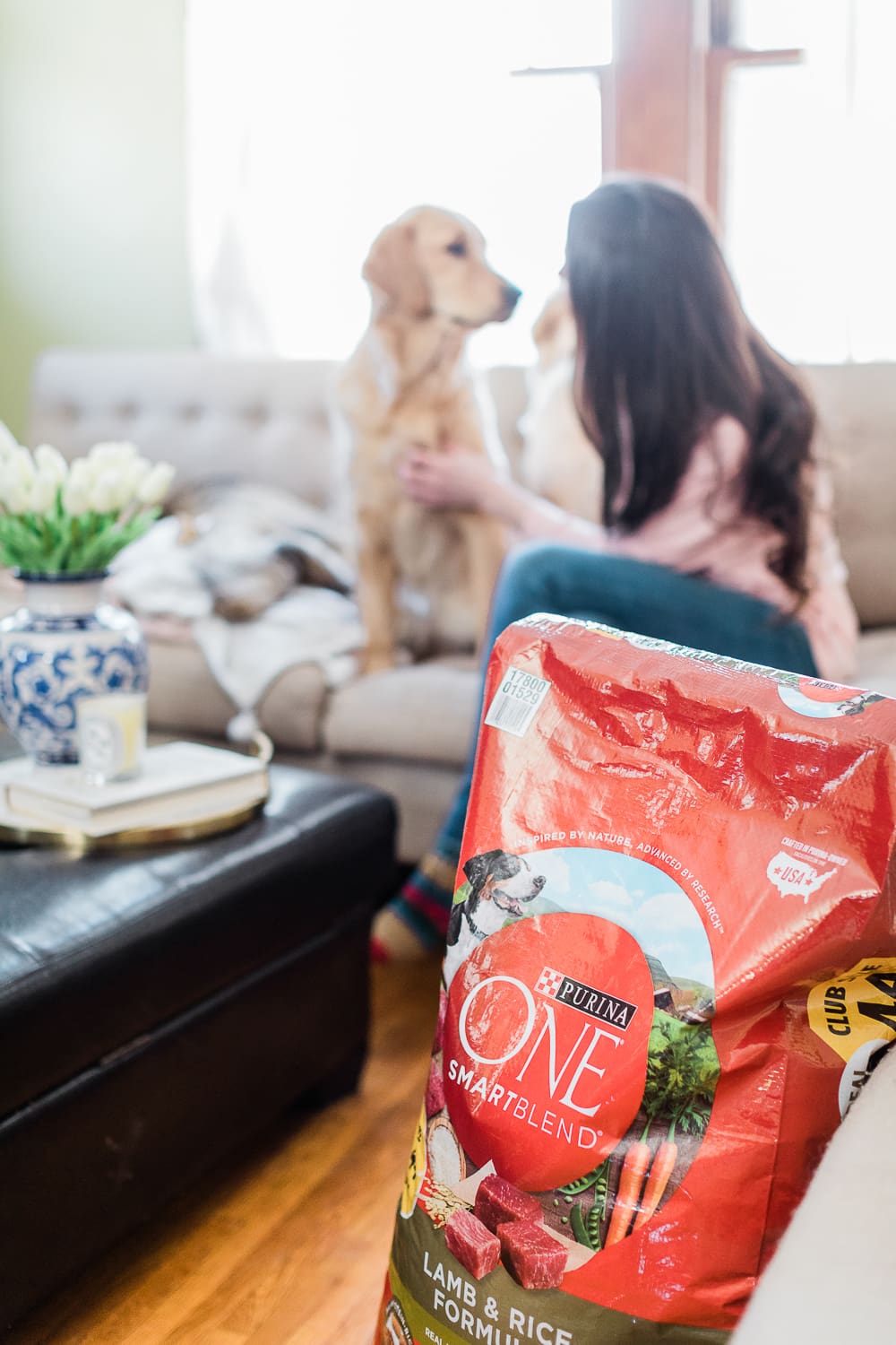 5 Easy Ways to Save on Pet Supplies and Affordable Quality Dog Food by the popular affordable fashion and southern lifestyle blog Diary of a Debutante by Stephanie Ziajka, best cheap dry dog food, Purina One Smartblend Lamb and Rice Formula at Sam's Club, best dog food at Sam's Club, cute golden retriever puppies, cute golden retrievers