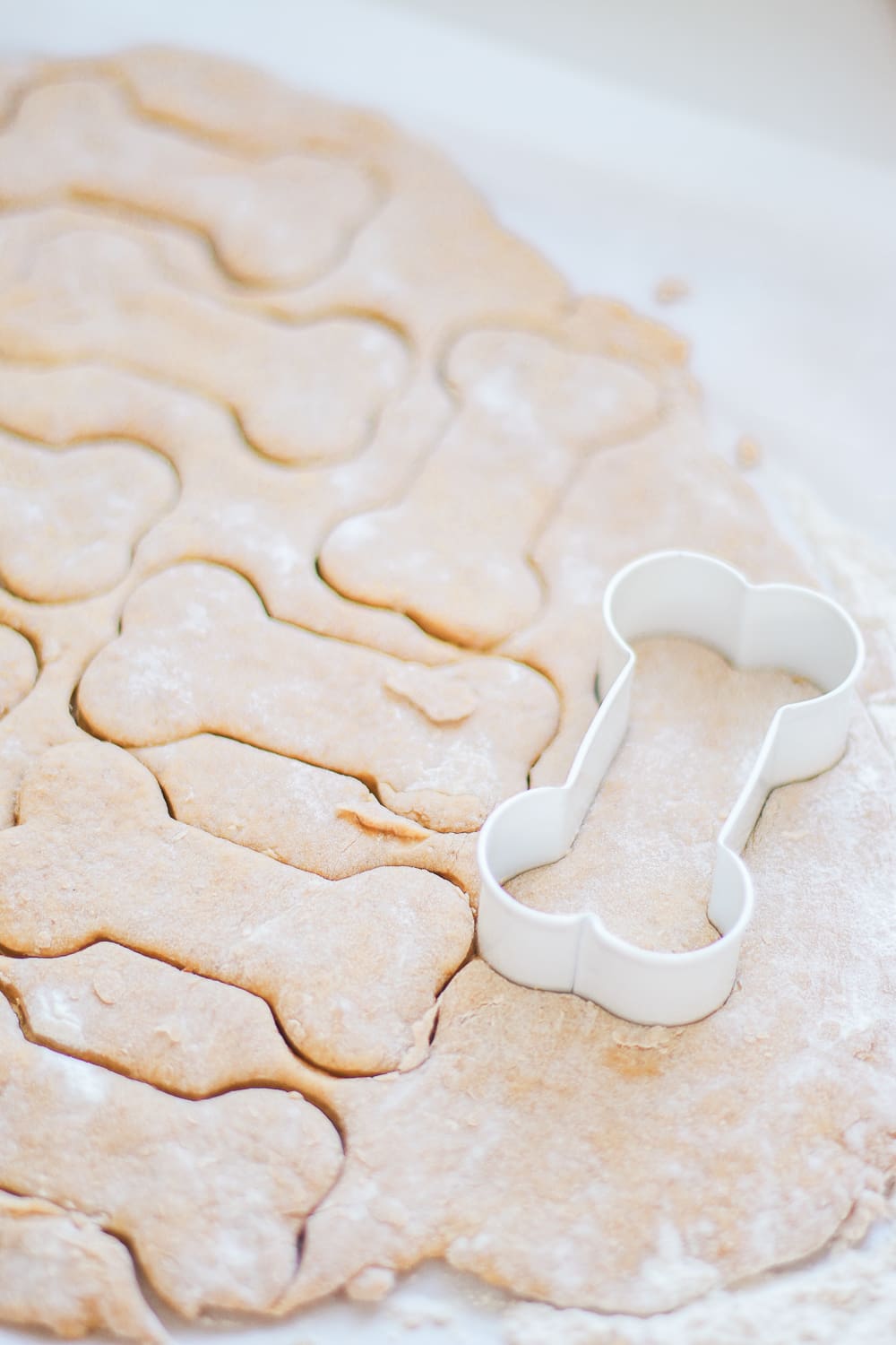 4-Ingredient Grain Free Homemade Dog Treats by southern lifestyle blogger and golden retriever dog mom Stephanie Ziajka from Diary of a Debutante, diy grain free dog treats, grain free peanut butter dog treats recipe