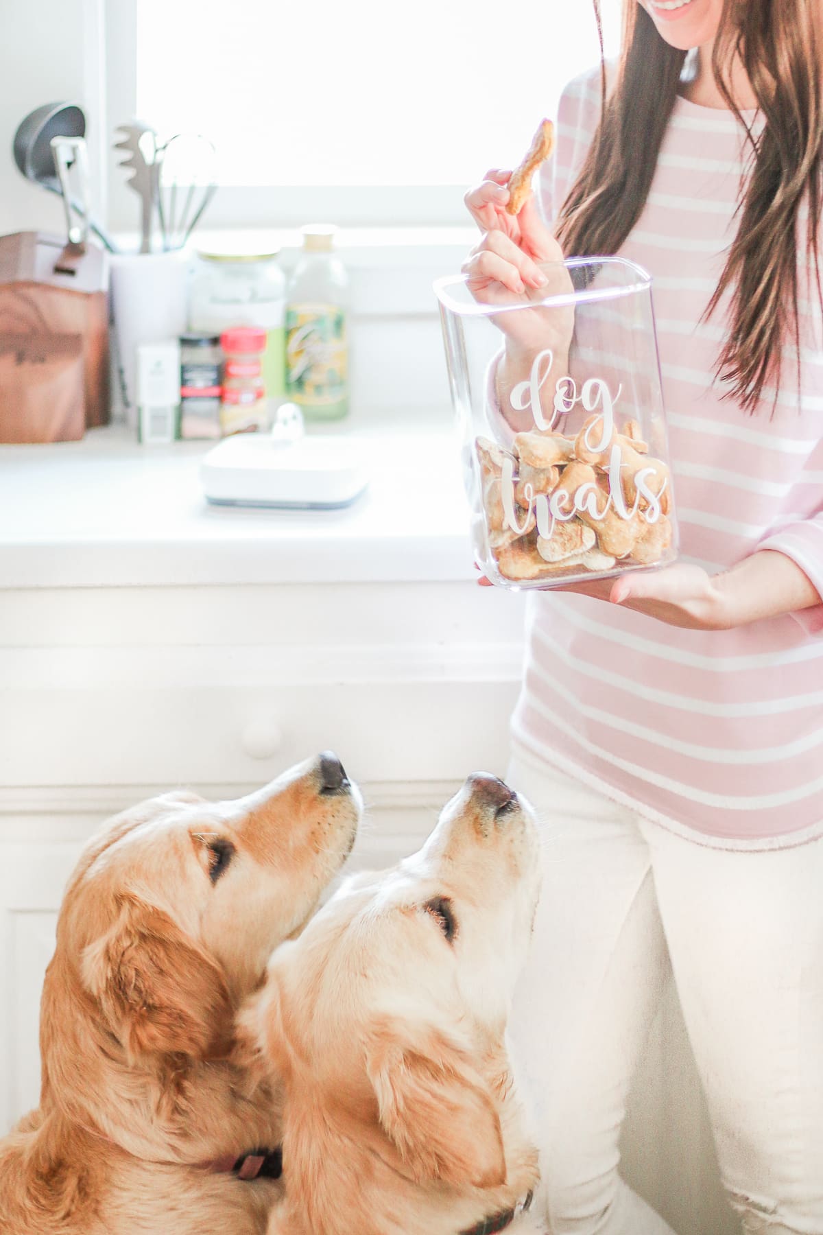 4-Ingredient Grain Free Homemade Dog Treats by southern lifestyle blogger and golden retriever dog mom Stephanie Ziajka from Diary of a Debutante, diy grain free dog treats, grain free peanut butter dog treats recipe