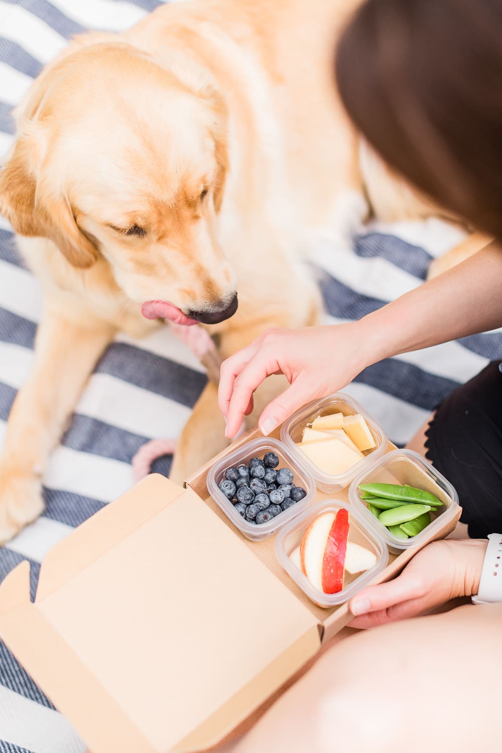 hiking lunch ideas, what to pack on hiking lunch, healthy hiking lunch, Poland Spring Origin Natural Spring Water at Walmart, Summer Adventuring: How to Plan the Perfect Hiking Picnic by popular midwest blogger Stephanie Ziajka from Diary of a Debutante, Columbia MO hiking