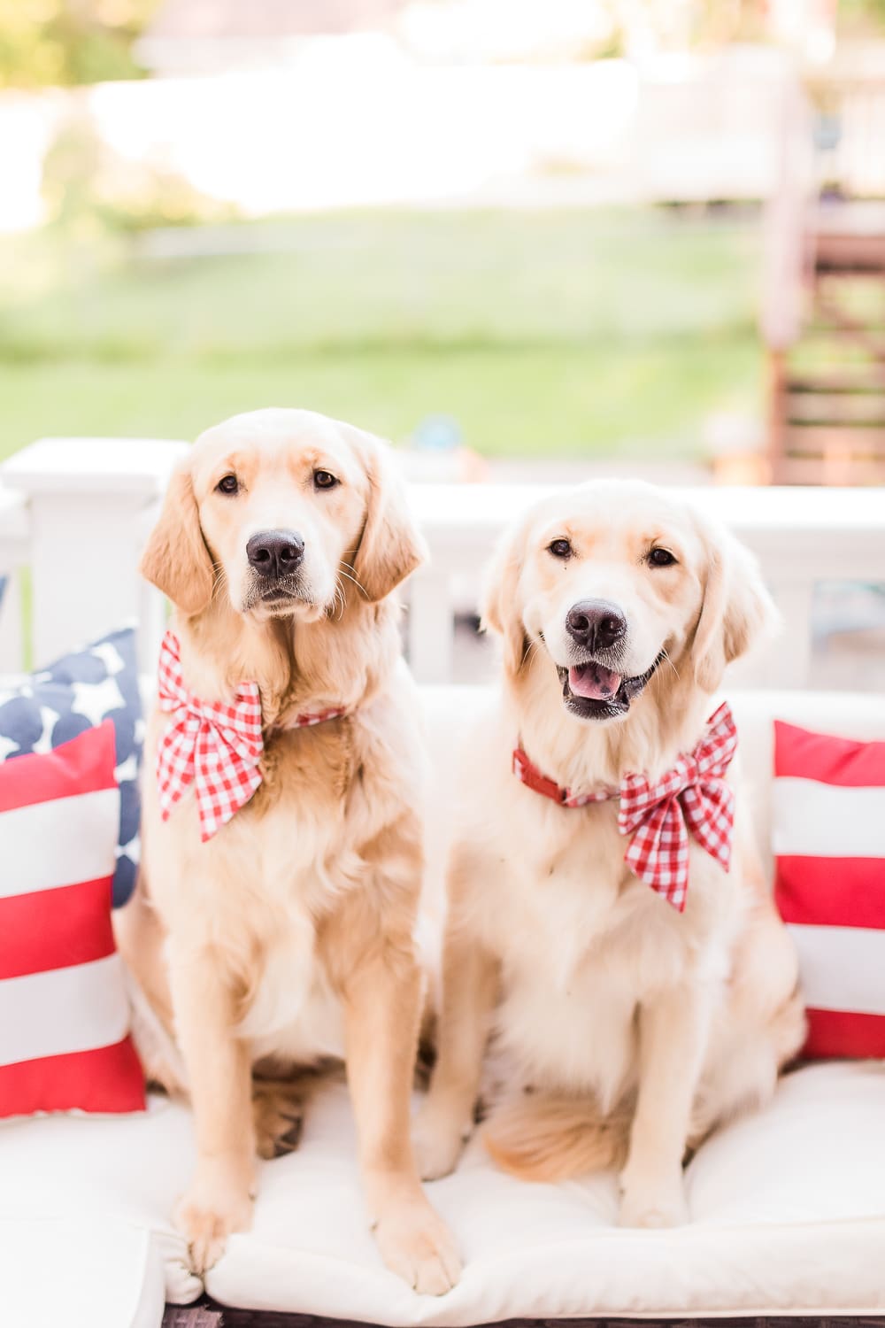 4th of July golden retrievers, 4th of July puppies, red gingham dog bows and collars, Currently Obsessed: Cute Female Dog Bows for Large Breeds by popular southern lifestyle blogger and golden retriever dog mom Stephanie Ziajka from Diary of a Debutante, how to make dog bows stay in, designer dog bows, female dog bows, 4th of July dog bows, cute dog bows for large breeds