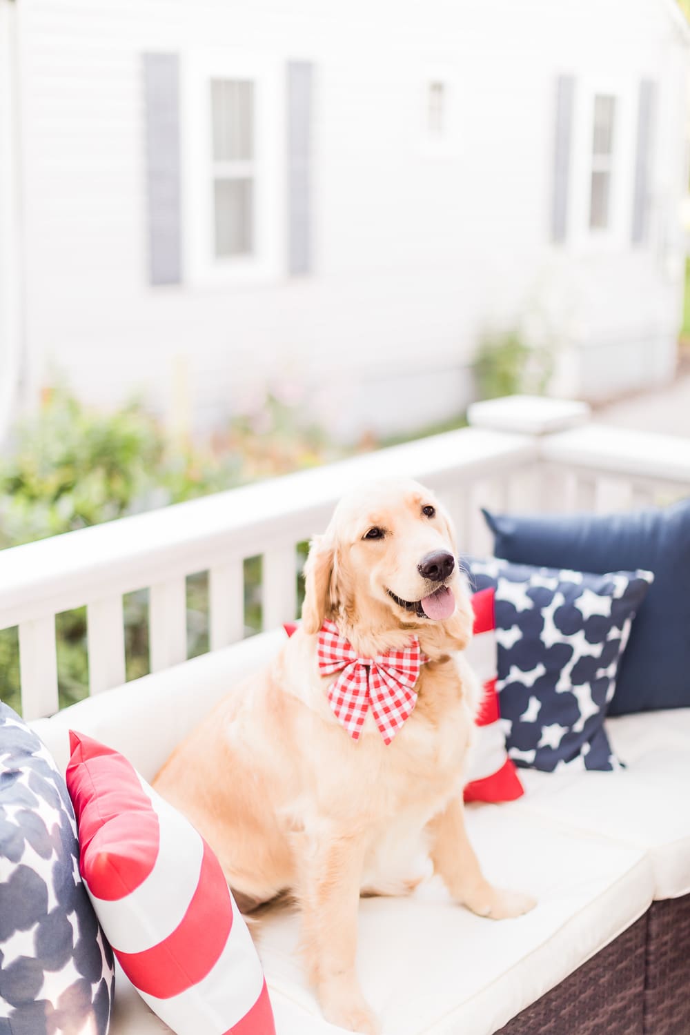 4th of July golden retrievers, 4th of July puppies, red gingham dog bows and collars, Currently Obsessed: Cute Female Dog Bows for Large Breeds by popular southern lifestyle blogger and golden retriever dog mom Stephanie Ziajka from Diary of a Debutante, how to make dog bows stay in, designer dog bows, female dog bows, 4th of July dog bows, cute dog bows for large breeds