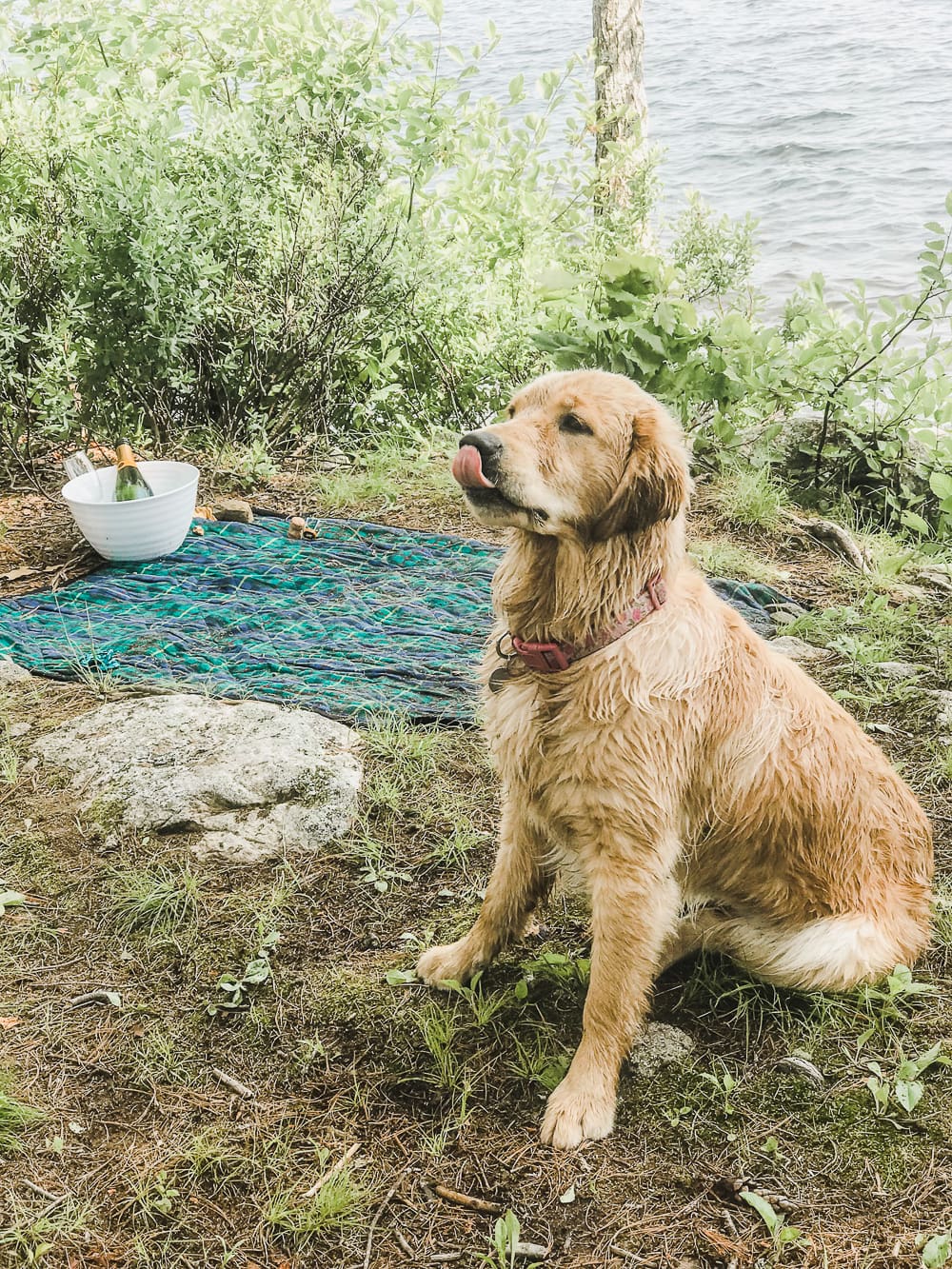 Our Maine Proposal Story by popular midwest lifestyle blogger Stephanie Ziajka from Diary of a Debutante, Damariscotta Lake proposal photos, Maine engagement photos