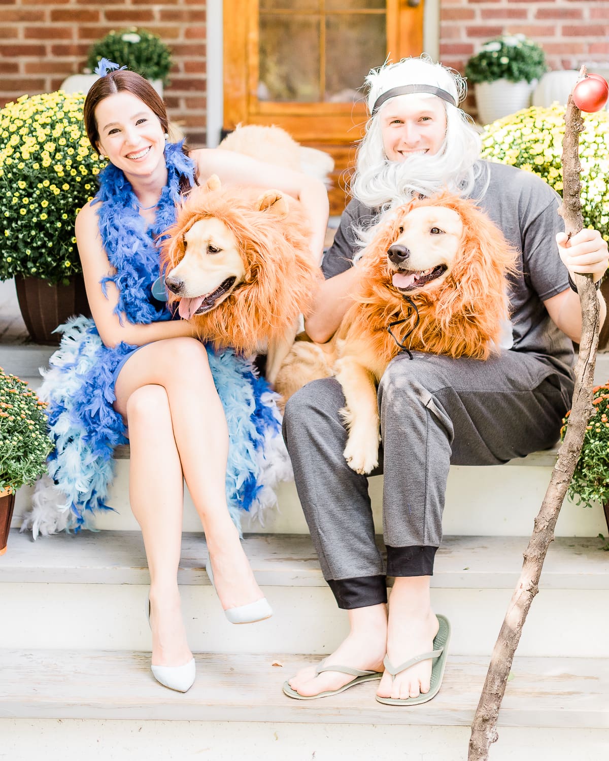 DIY Lion King Family Costume Tutorial by popular DIY blogger Stephanie Ziajka on Diary of a Debutante, DIY Zazu costume, DIY raffiki costume, dog lion mane costume, golden retriever lion mane