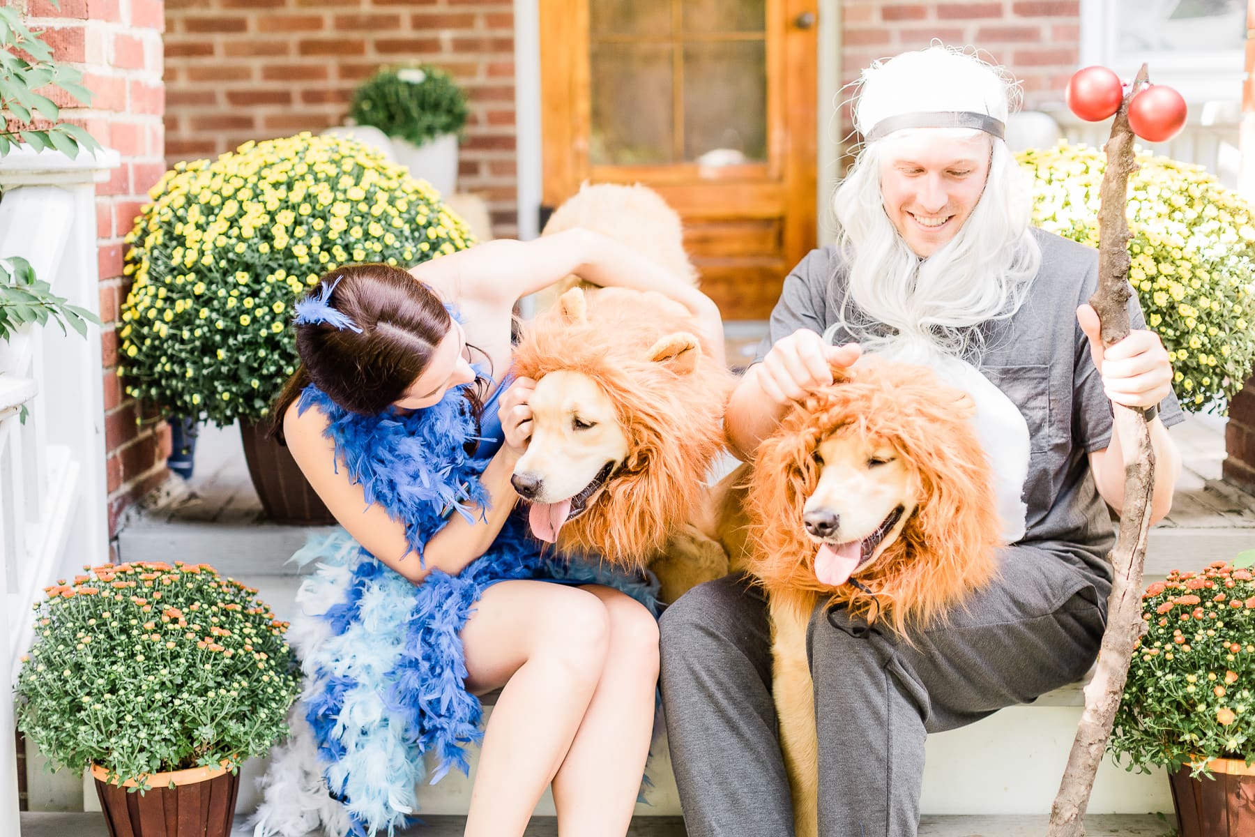 DIY Lion King Family Costume Tutorial by popular DIY blogger Stephanie Ziajka on Diary of a Debutante, DIY Zazu costume, DIY raffiki costume, dog lion mane costume, golden retriever lion mane