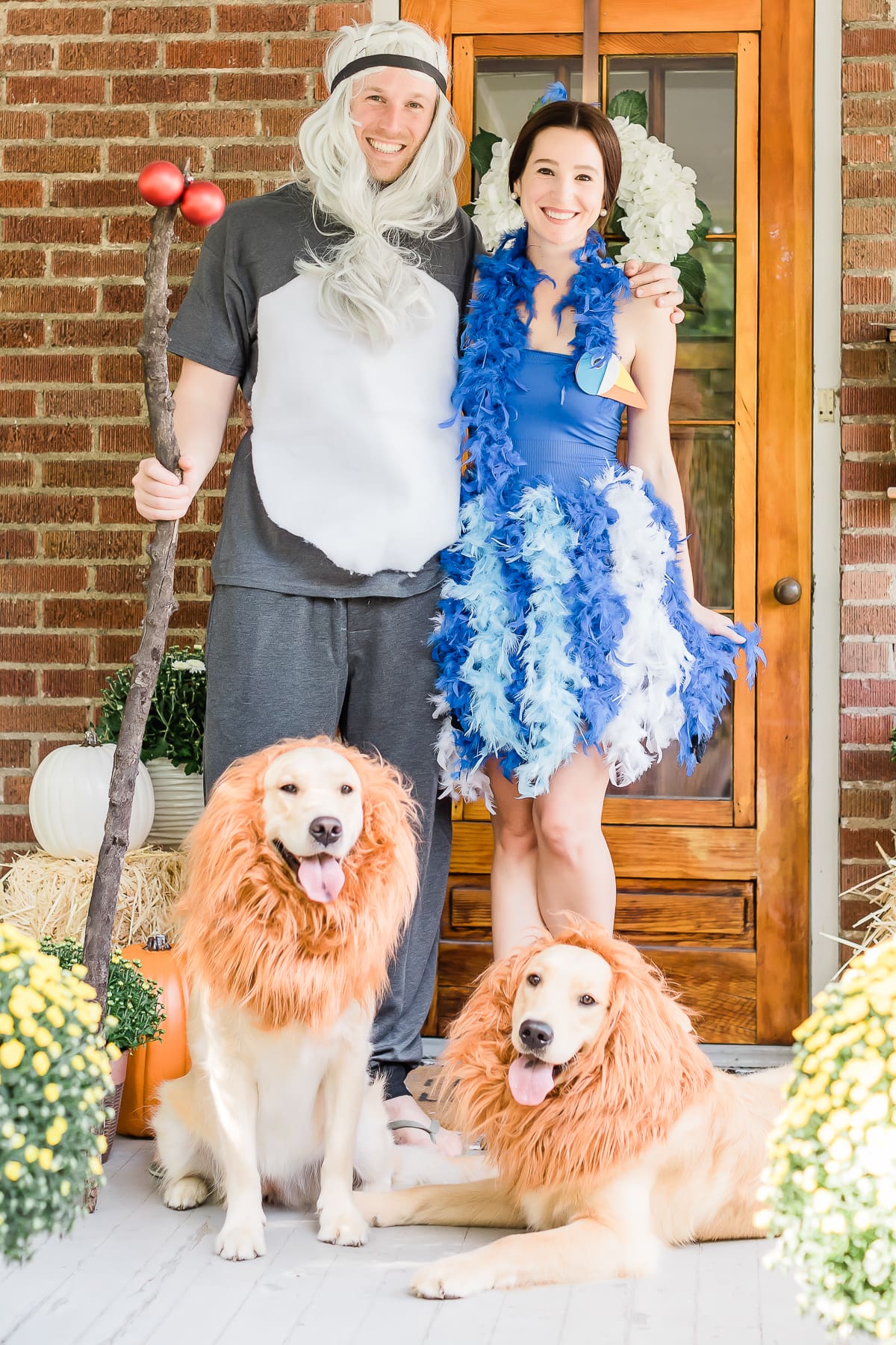 DIY Lion King Family Costume Tutorial by popular DIY blogger Stephanie Ziajka on Diary of a Debutante, DIY Zazu costume, DIY raffiki costume, dog lion mane costume, golden retriever lion mane