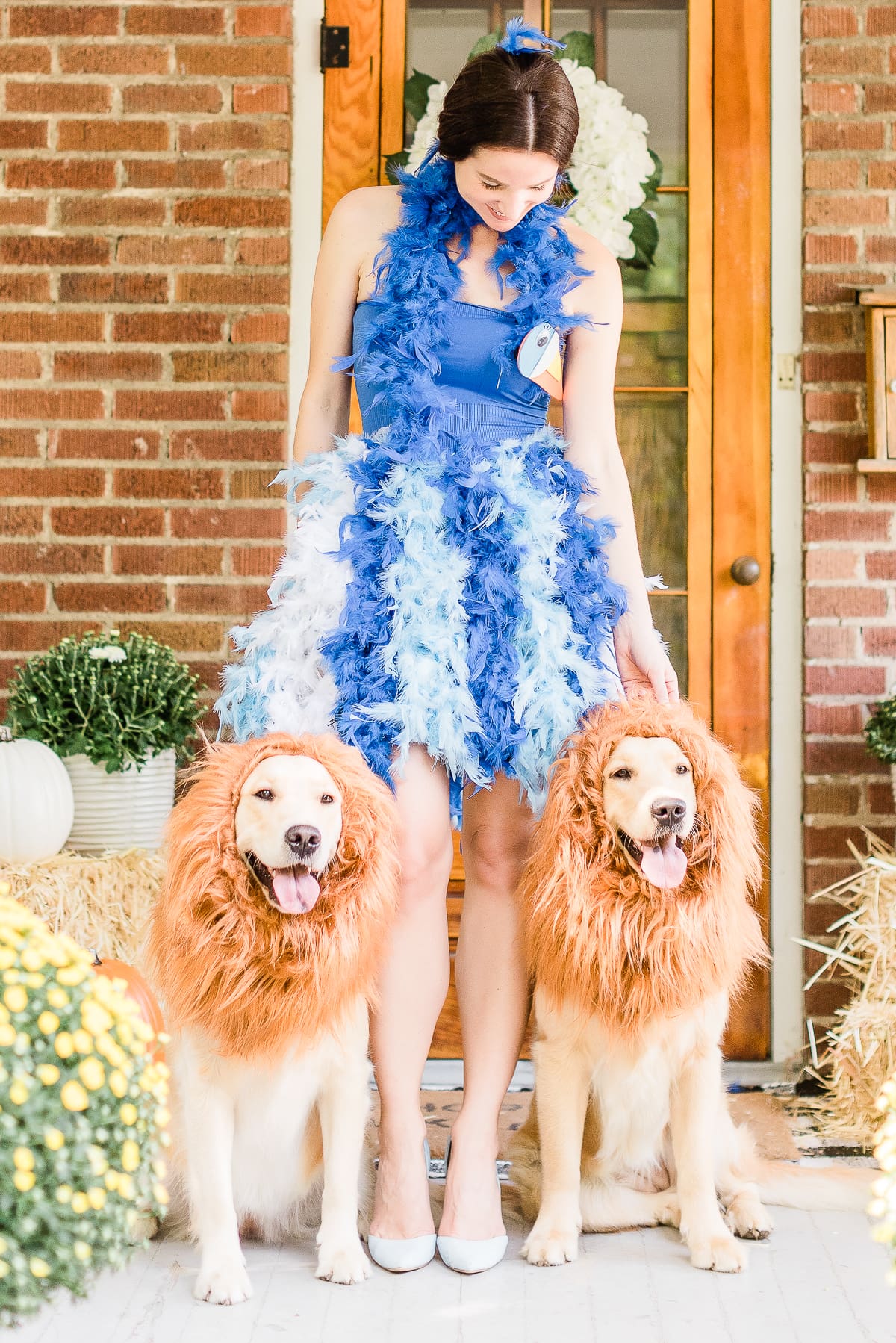DIY Zazu costume by popular DIY blogger Stephanie Ziajka on Diary of a Debutante, DIY Lion King costume, DIY Zazu Lion King costume tutorial