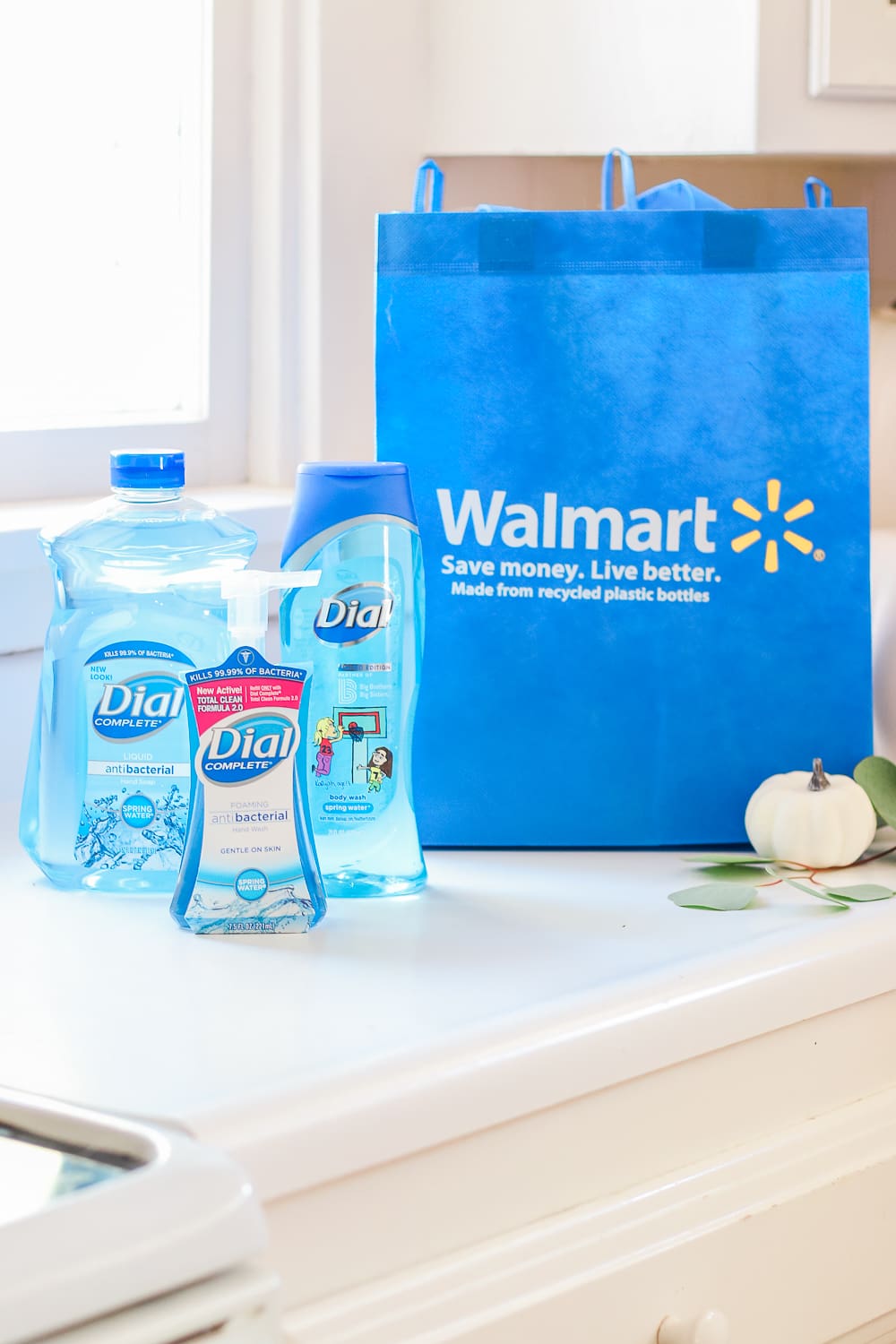 Dial Spring Water Body Wash designed by Big Brothers Big Sisters at Walmart, Dial Complete Spring Water Foaming Hand Wash at Walmart, and Dial Complete Spring Water Foaming Hand Wash Refill at Walmart, Walmart reusable bag