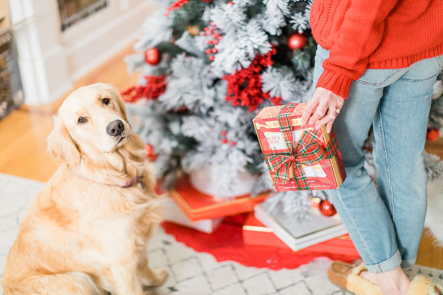 cute golden retriever puppy, christmas golden retriever, nellie the golden retriever