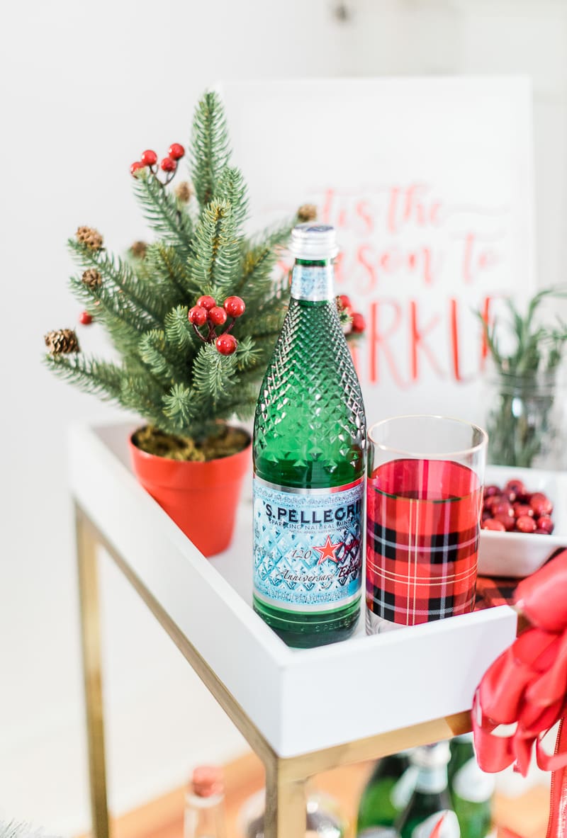 Special edition diamond Pellegrino bottle, limited edition pellegrino bottle, red plaid tumber, popular lifestyle blogger Stephanie Ziajka, popular lifestyle blog Diary of a Debutante