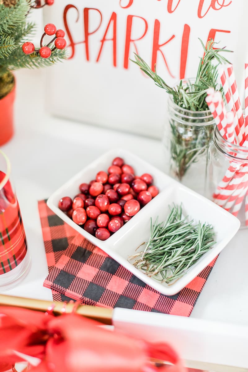 Christmas drink garnishes, sprigs of rosemary, rosemary garnish, cranberries, cranberry garnish, plaid cocktail napkins, popular lifestyle blogger Stephanie Ziajka, popular lifestyle blog Diary of a Debutante