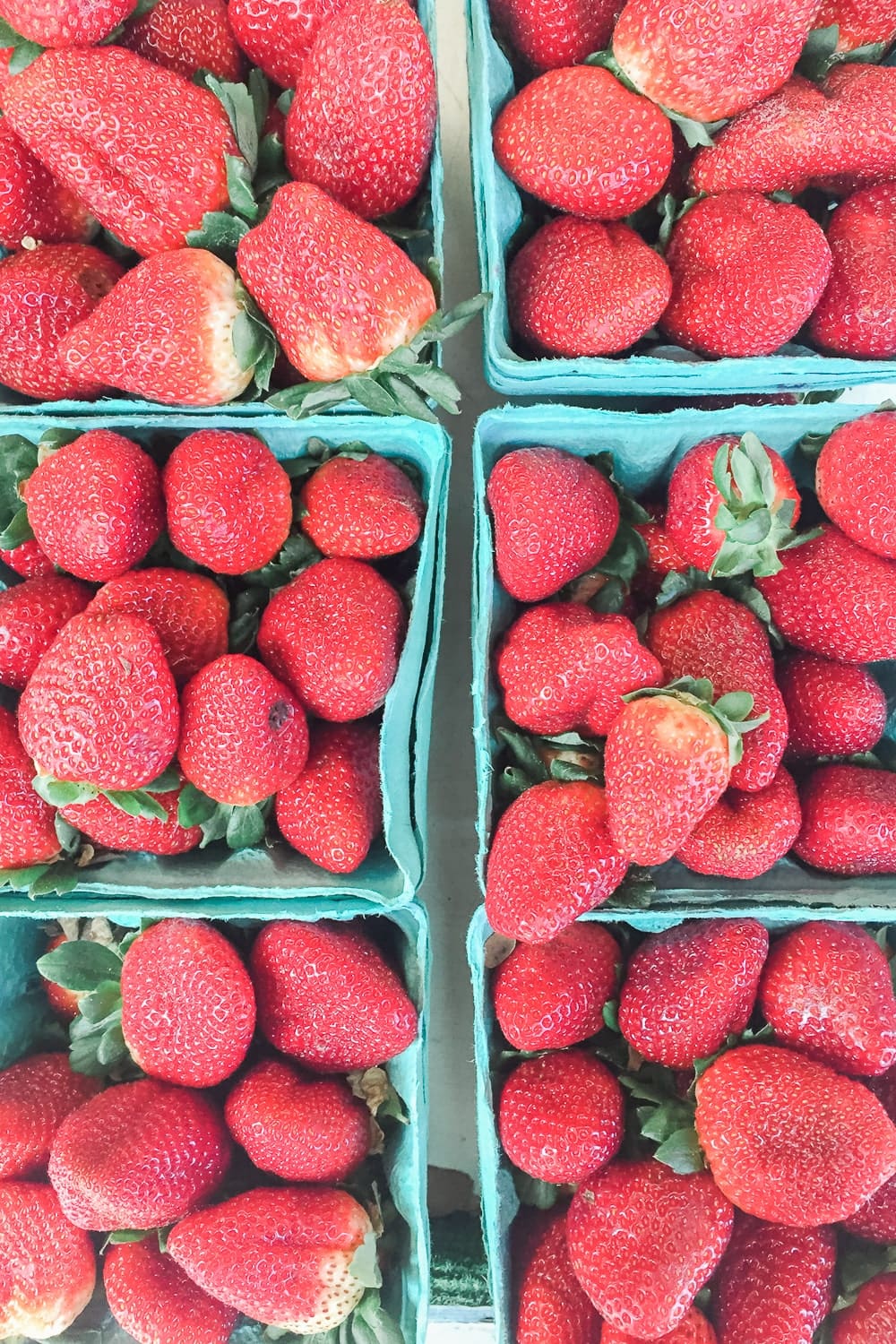 Blogger Stephanie Ziajka shares why picking strawberries at Pappy's Patch is one of her favorite fun cheap things to do in Orlando Florida on Diary of a Debutante