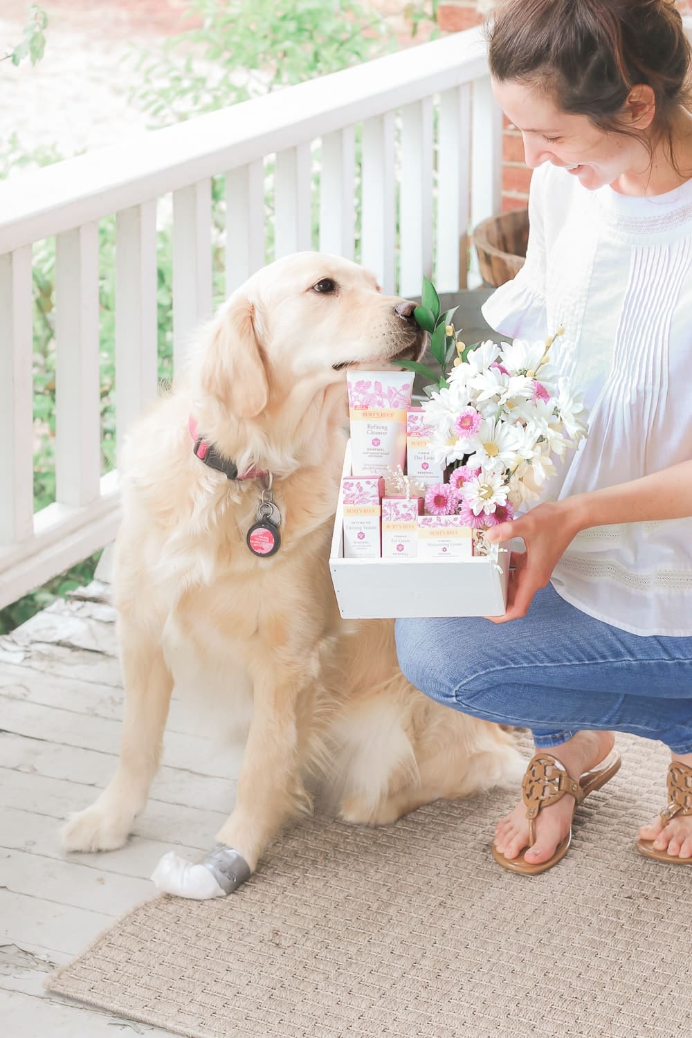 Beauty blogger Stephanie Ziajka and her cute golden retriever puppy, Nala, share Burt's Bees Renewal line reviews on Diary of a Debutante