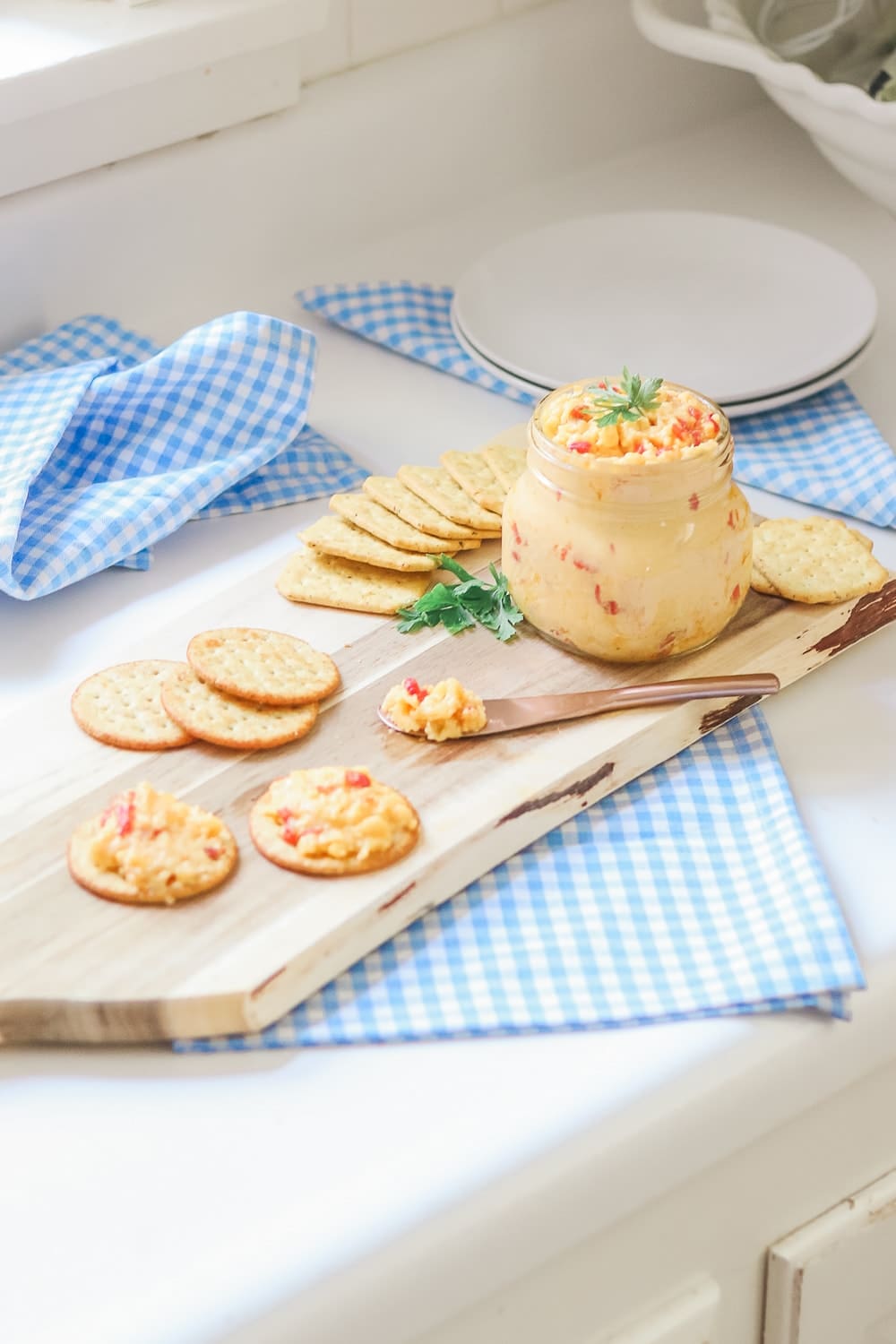 Easy tailgating dip recipe by southern lifestyle blogger Stephanie Ziajka on Diary of a Debutante