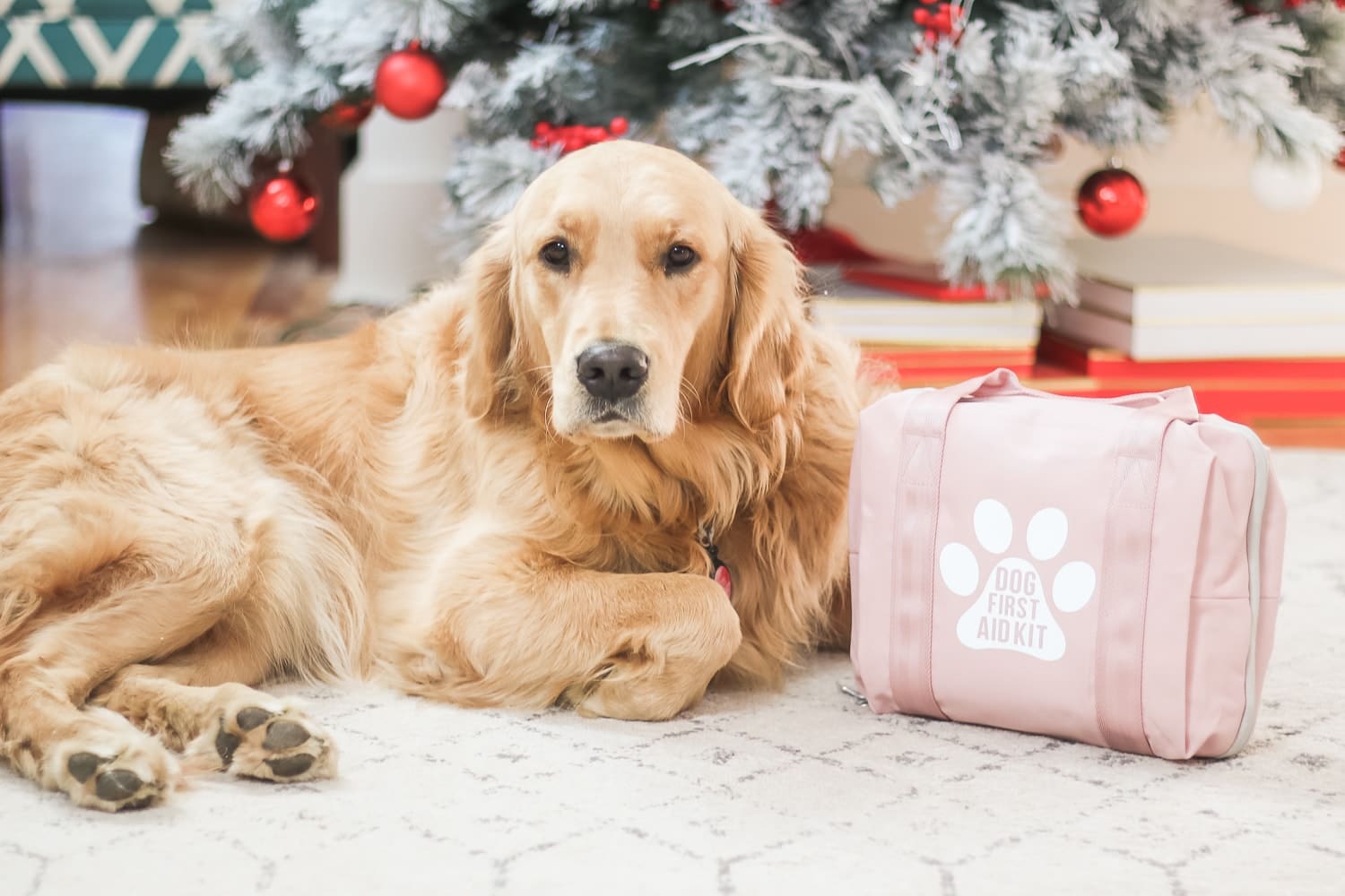 Blogger Stephanie Ziajka shows how to make a pet first aid kit on Diary of a Debutante
