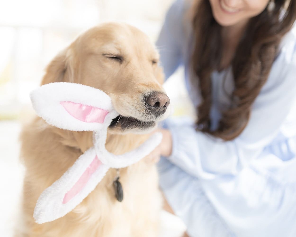 Blogger Stephanie Ziajka shares ideas for what to put in a dog Easter basket on Diary of a Debutante