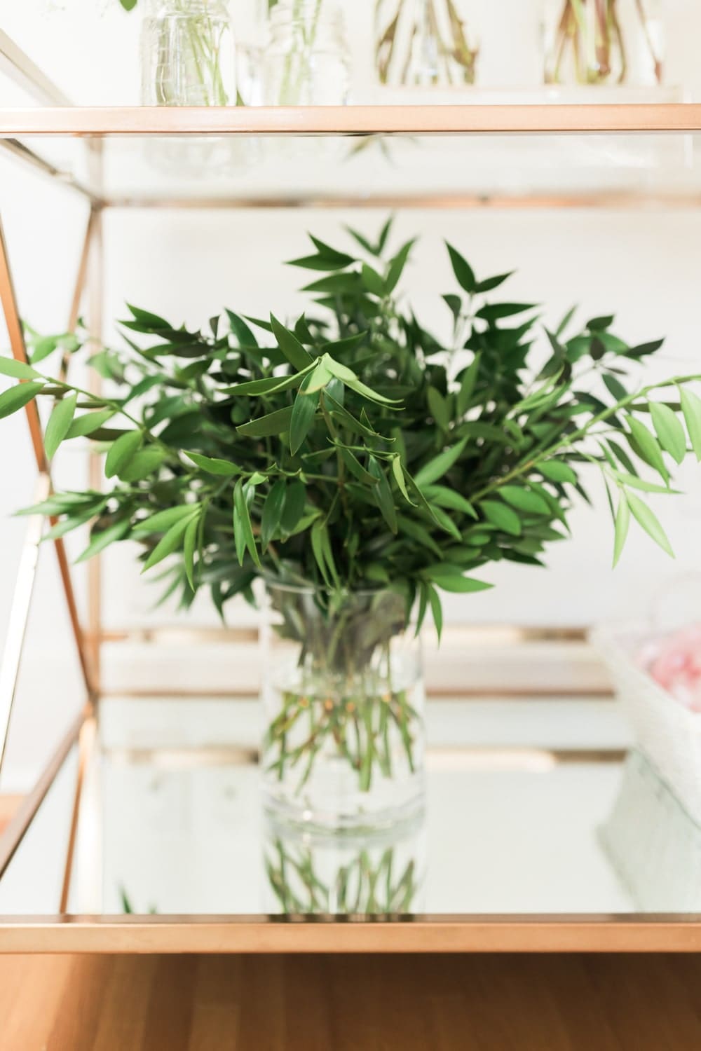 Nagi greenery from Sam's Club on Diary of a Debutante