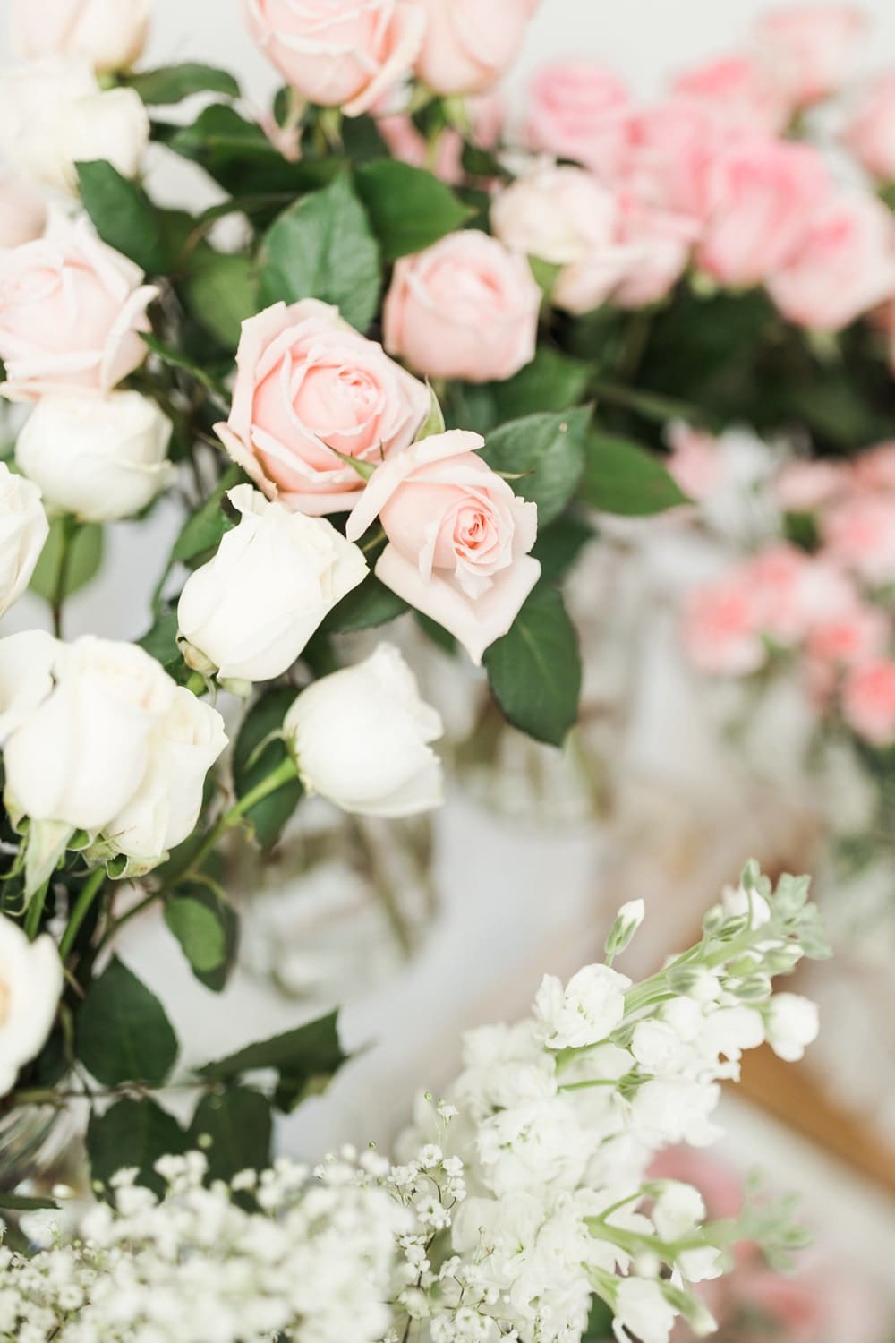 Light pink garden roses from Sam's Club on Diary of a Debutante