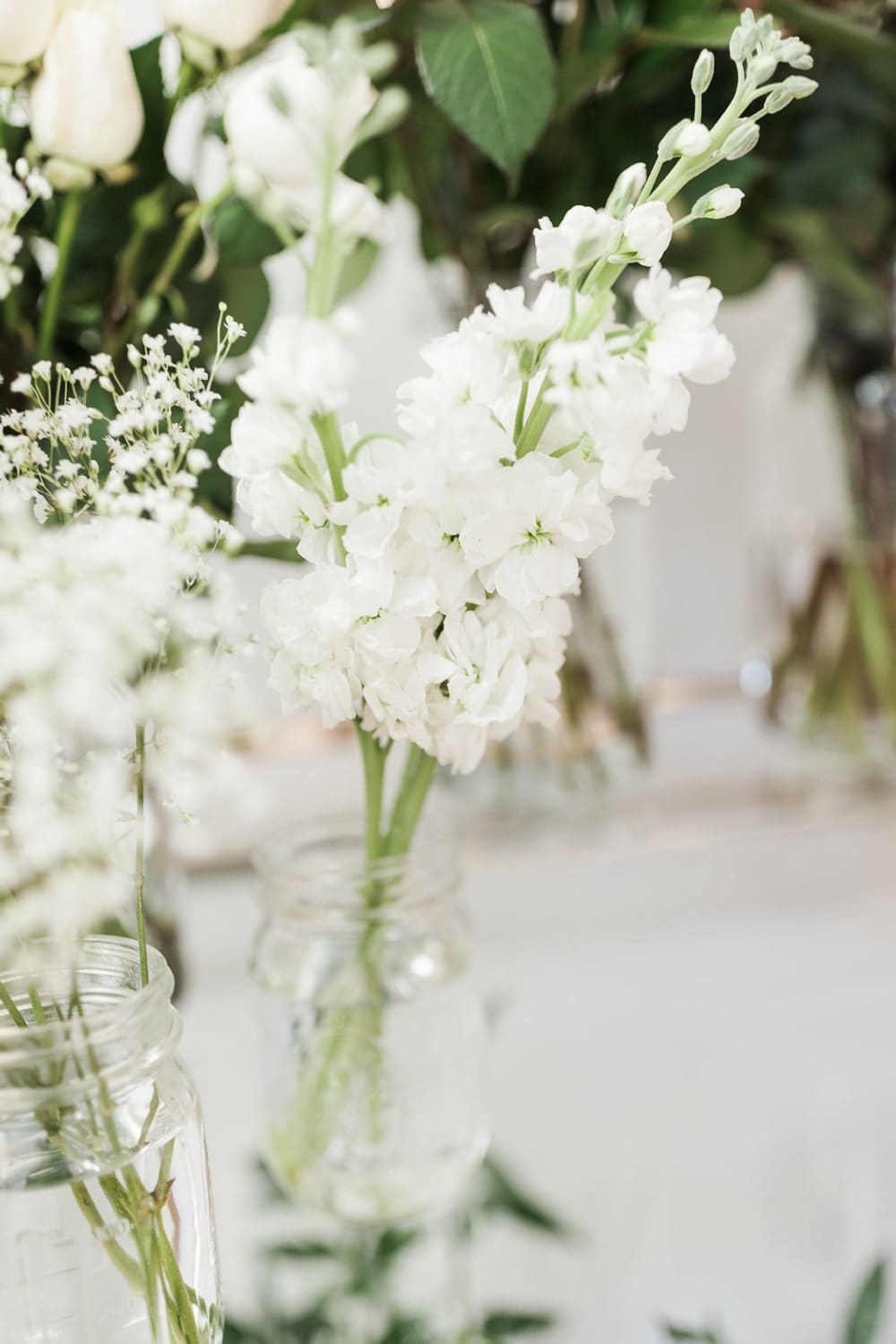 White stock flowers on Diary of a Debutante