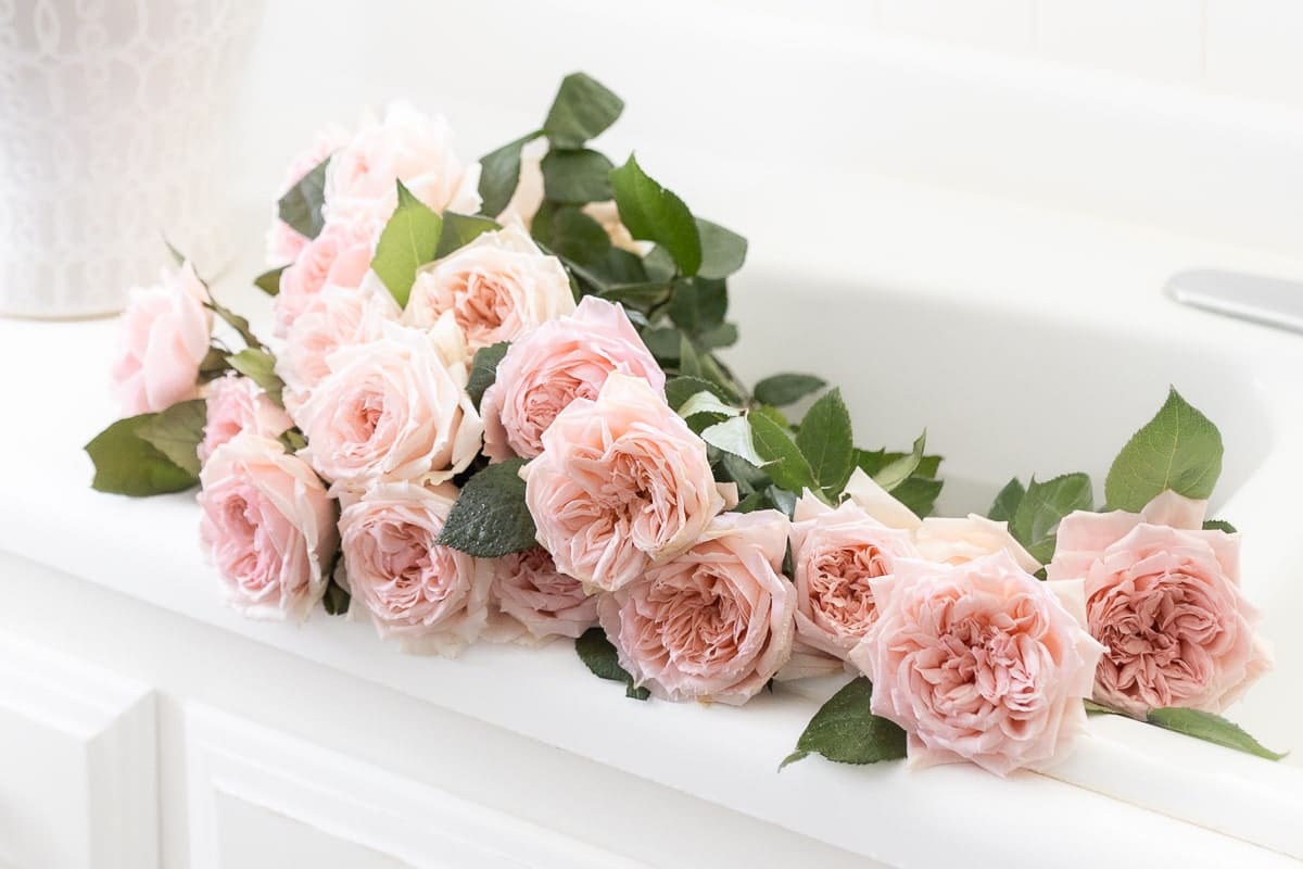 Blogger and infertility patient Stephanie Ziajka shares infertility support resources and honest IVF tips on Diary of a Debutante