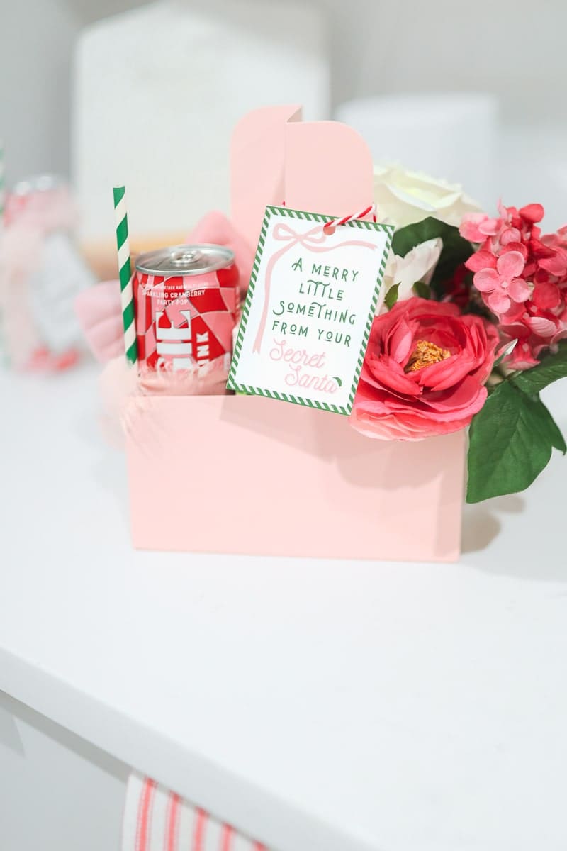 Blogger Stephanie Ziajka designs a cute Christmas drink holder gift as one of her secret santa gift ideas under $25 on Diary of a Debutante Blogger Stephanie Ziajka designs a cute Christmas drink holder gift as one of her secret santa gift ideas under $25 on Diary of a Debutante