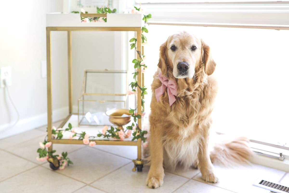 Derby Day entertaining setup with raffle game, betting slips, and party decor