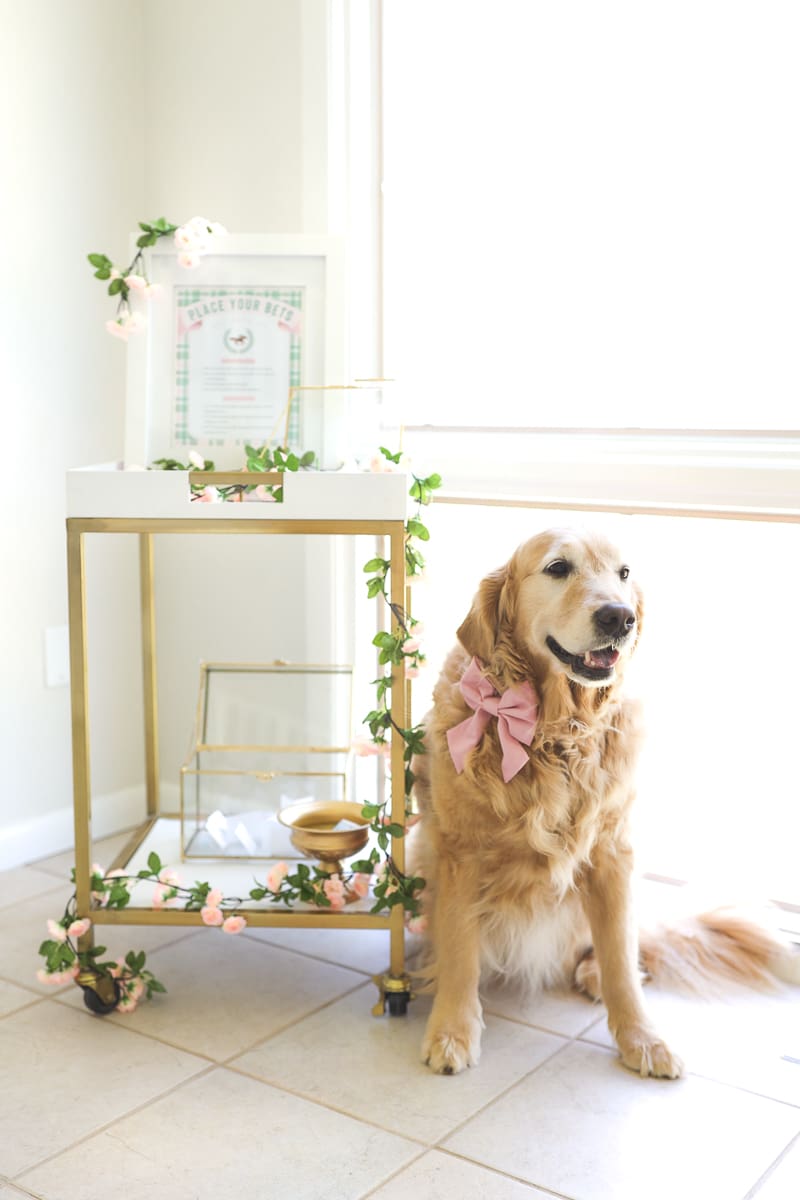 Derby party game station with bowls, slips, and printable signs for guests