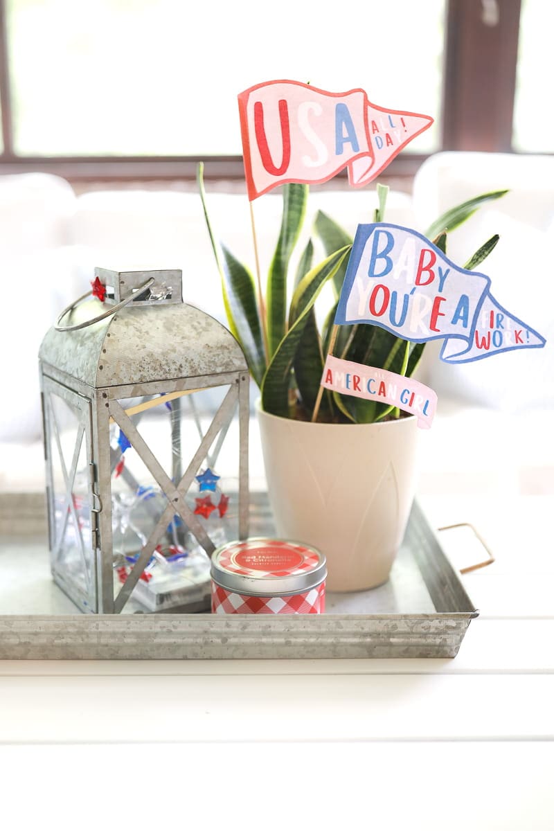 Printable patriotic mini pennant flags displayed in a potted houseplant for easy red, white, and blue summer decor.